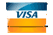 Visa Logo
