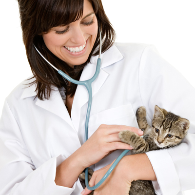 doctor holding cat