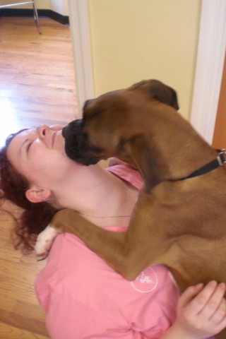 dog kissing person