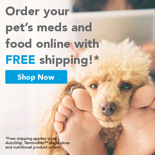 Middlebrook Animal Clinic Online Pharmacy